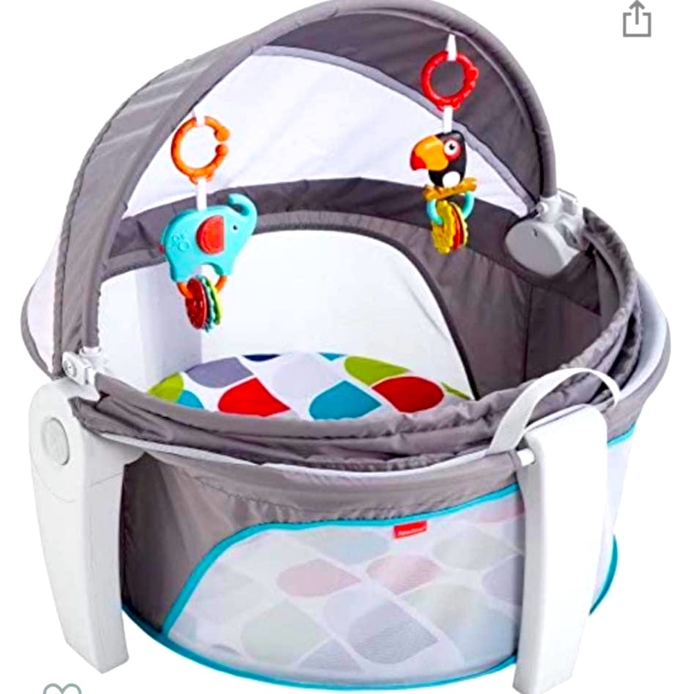 FISHER PRICE ON THR GO BABY DOME!